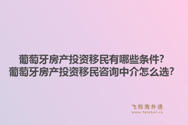葡萄牙房产投资移民有哪些条件?葡萄牙房产投资移民咨询中介怎么选?1.jpg