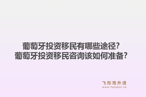 葡萄牙投资移民有哪些途径？葡萄牙投资移民咨询该如何准备？1.jpg