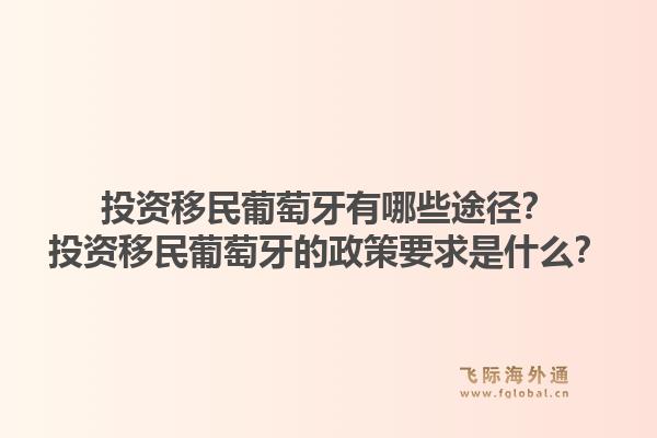 投资移民葡萄牙有哪些途径?投资移民葡萄牙的政策要求是什么?1.jpg