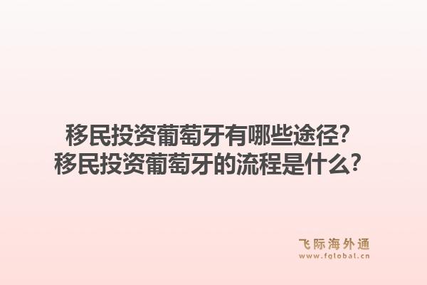 移民投资葡萄牙有哪些途径？移民投资葡萄牙的流程是什么？1.jpg