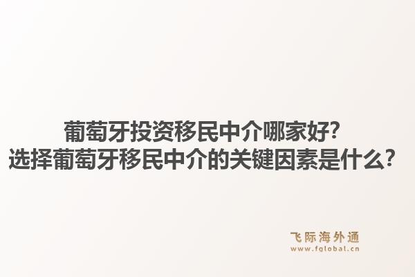 葡萄牙投资移民中介哪家好？选择葡萄牙移民中介的关键因素是什么？1.jpg