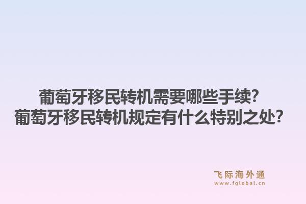 葡萄牙移民转机需要哪些手续？葡萄牙移民转机规定有什么特别之处？1.jpg