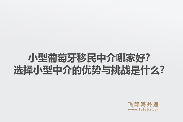 小型葡萄牙移民中介哪家好？选择小型中介的优势与挑战是什么？1.jpg