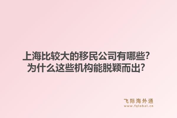 上海比较大的移民公司有哪些?为什么这些机构能脱颖而出?1.jpg
