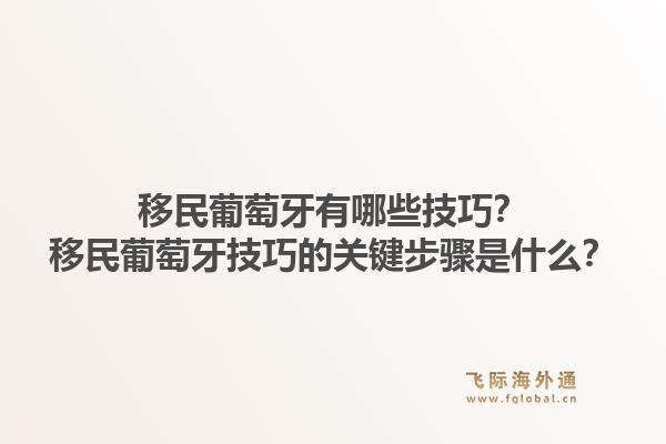 移民葡萄牙有哪些技巧？移民葡萄牙技巧的关键步骤是什么？