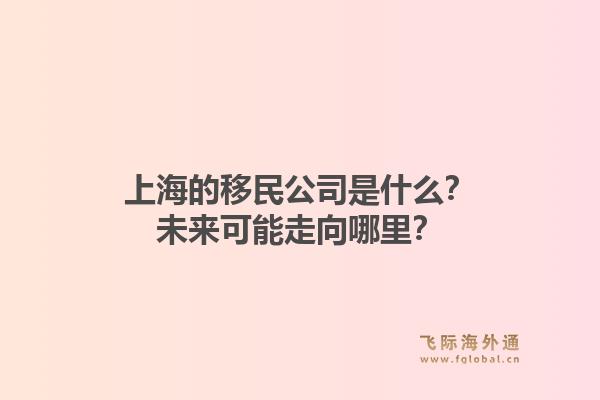 上海的移民公司是什么？未来可能走向哪里？
