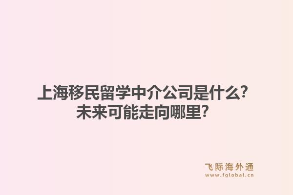 上海移民留学中介公司是什么？未来可能走向哪里？