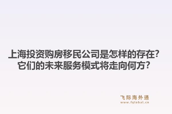 上海投资购房移民公司是怎样的存在？它们的未来服务模式将走向何方？