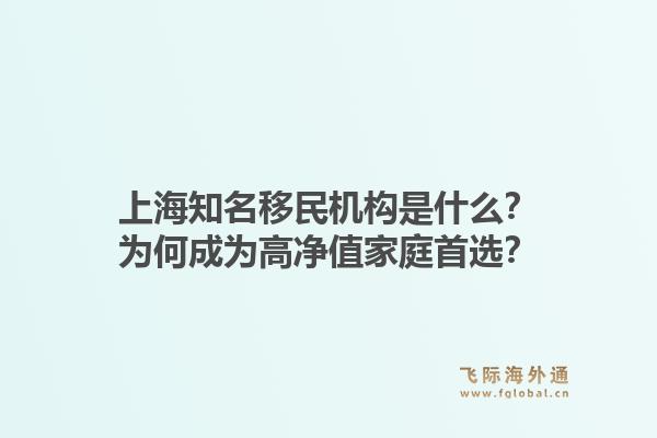 上海知名移民机构是什么？为何成为高净值家庭首选？