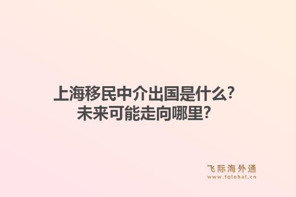 上海移民中介出国是什么？未来可能走向哪里？