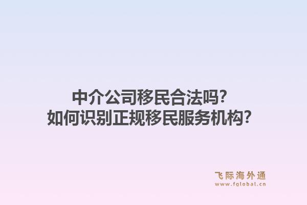 中介公司移民合法吗？如何识别正规移民服务机构？