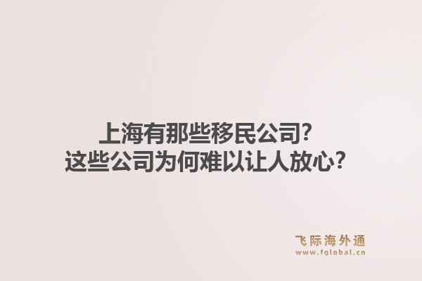 上海有那些移民公司？这些公司为何难以让人放心？