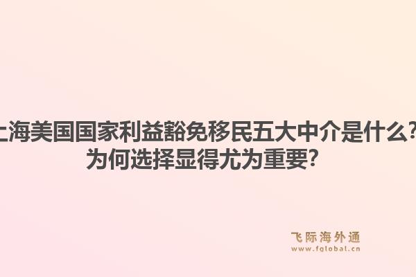 上海美国国家利益豁免移民五大中介是什么？为何选择显得尤为重要？