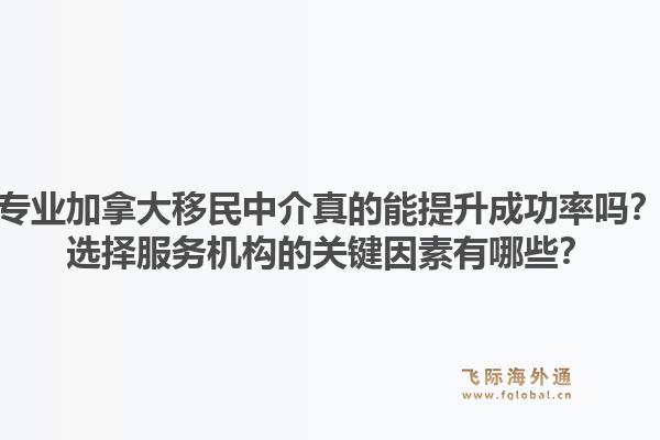 专业加拿大移民中介真的能提升成功率吗？选择服务机构的关键因素有哪些？