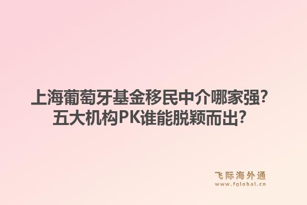 上海葡萄牙基金移民中介哪家强？五大机构PK谁能脱颖而出？