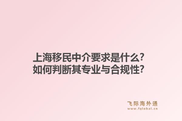 上海移民中介要求是什么？如何判断其专业与合规性？