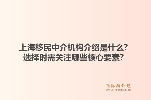 上海移民中介机构介绍是什么？选择时需关注哪些核心要素？