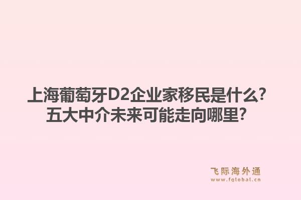 上海葡萄牙D2企业家移民是什么？五大中介未来可能走向哪里？1.jpg