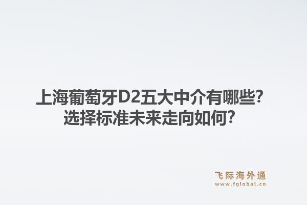 上海葡萄牙D2五大中介有哪些？选择标准未来走向如何？1.jpg