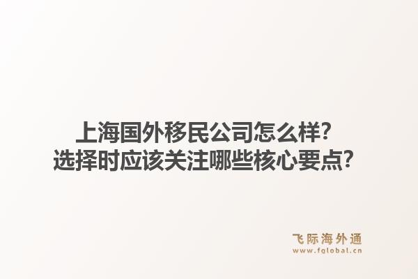 上海国外移民公司怎么样？选择时应该关注哪些核心要点？1.jpg