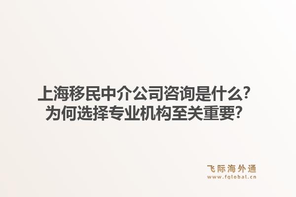 上海移民中介公司咨询是什么？为何选择专业机构至关重要？1.jpg
