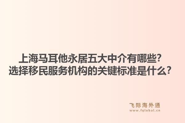 上海马耳他永居五大中介有哪些？选择移民服务机构的关键标准是什么？