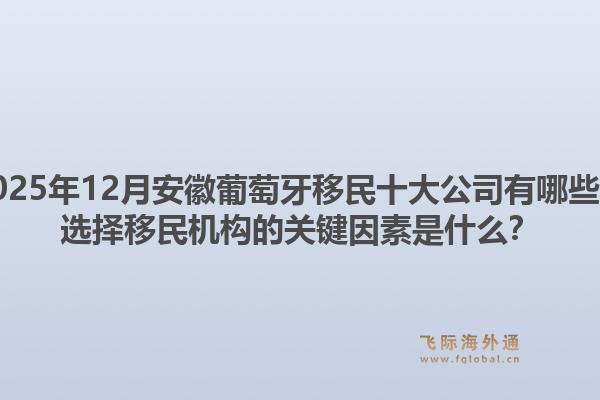 2025年12月安徽葡萄牙移民十大公司有哪些?选择移民机构的关键因素是什么?1.jpg