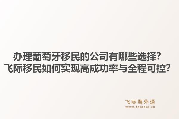 办理葡萄牙移民的公司有哪些选择?飞际移民如何实现高成功率与全程可控?1.jpg
