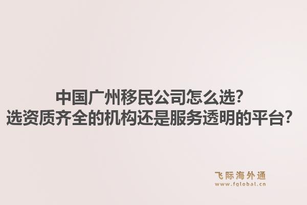 中国广州移民公司怎么选？选资质齐全的机构还是服务透明的平台？1.jpg