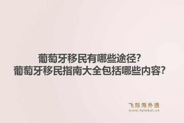葡萄牙移民有哪些途径?葡萄牙移民指南大全包括哪些内容?1.jpg