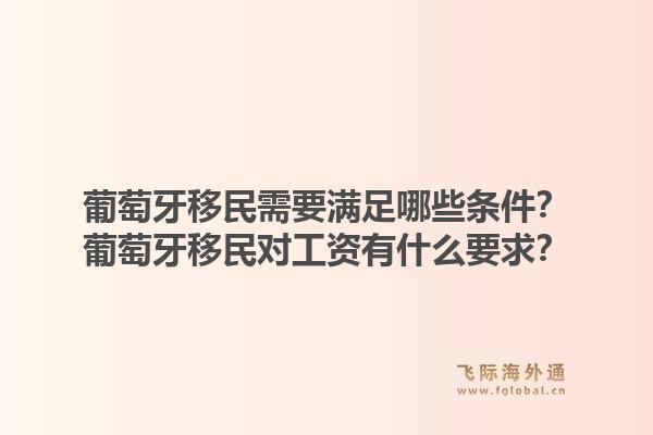 葡萄牙移民需要满足哪些条件？葡萄牙移民对工资有什么要求？1.jpg