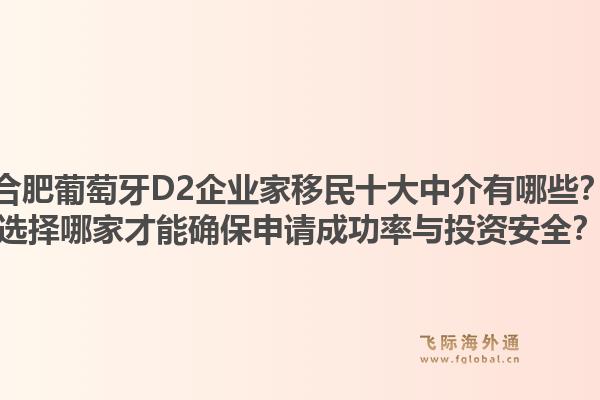 合肥葡萄牙D2企业家移民十大中介有哪些？选择哪家才能确保申请成功率与投资安全？1.jpg