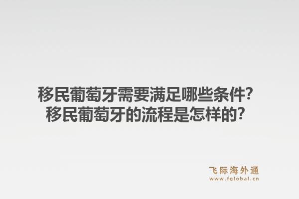 移民葡萄牙需要满足哪些条件?移民葡萄牙的流程是怎样的?1.jpg