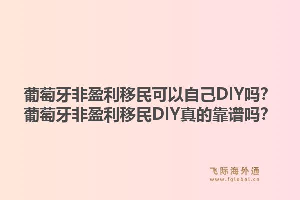 葡萄牙非盈利移民可以自己DIY吗？葡萄牙非盈利移民DIY真的靠谱吗？1.jpg