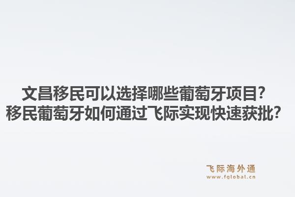 文昌移民可以选择哪些葡萄牙项目?移民葡萄牙如何通过飞际实现快速获批?1.jpg