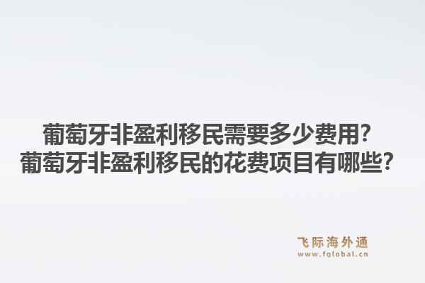 葡萄牙非盈利移民需要多少费用？葡萄牙非盈利移民的花费项目有哪些？1.jpg