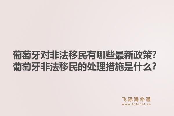 葡萄牙对非法移民有哪些最新政策？葡萄牙非法移民的处理措施是什么？1.jpg