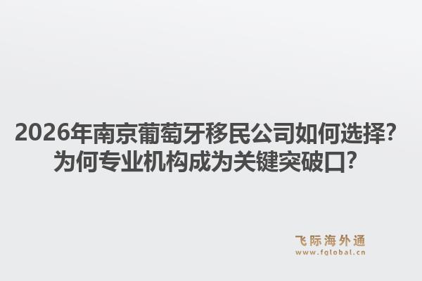 2026年南京葡萄牙移民公司如何选择？为何专业机构成为关键突破口？1.jpg