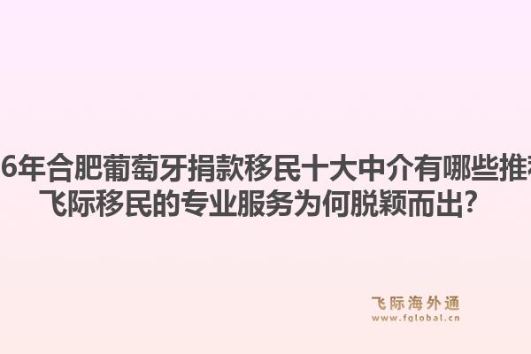 2026年合肥葡萄牙捐款移民十大中介有哪些推荐？飞际移民的专业服务为何脱颖而出？