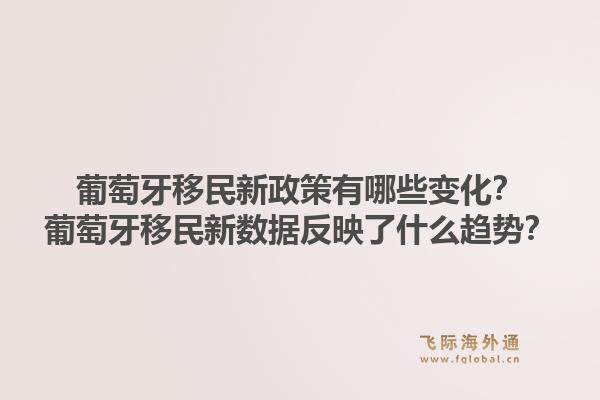 葡萄牙移民新政策有哪些变化?葡萄牙移民新数据反映了什么趋势?1.jpg