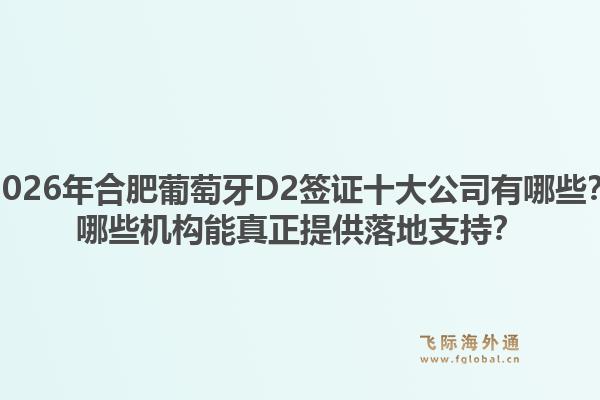2026年合肥葡萄牙D2签证十大公司有哪些?哪些机构能真正提供落地支持?1.jpg