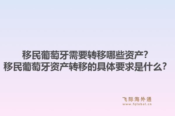 移民葡萄牙需要转移哪些资产？移民葡萄牙资产转移的具体要求是什么？1.jpg
