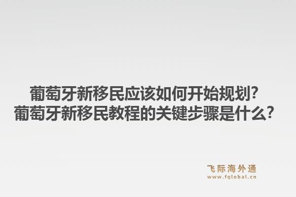 葡萄牙新移民应该如何开始规划？葡萄牙新移民教程的关键步骤是什么？1.jpg
