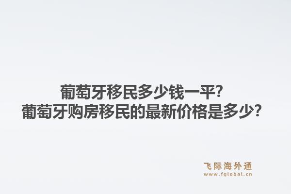 葡萄牙移民多少钱一平？葡萄牙购房移民的最新价格是多少？1.jpg