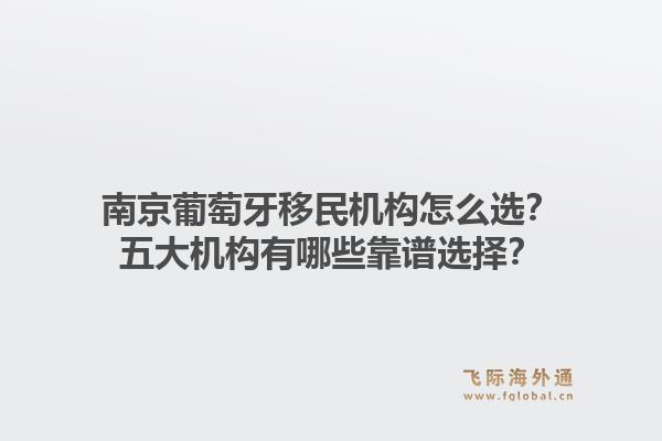 南京葡萄牙移民机构怎么选？五大机构有哪些靠谱选择？1.jpg