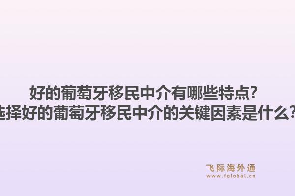 好的葡萄牙移民中介有哪些特点？选择好的葡萄牙移民中介的关键因素是什么？1.jpg