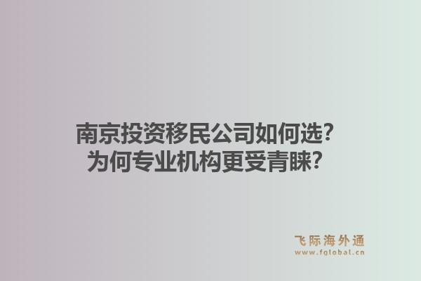 南京投资移民公司如何选？为何专业机构更受青睐？1.jpg
