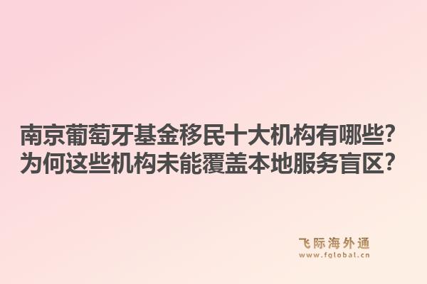 南京葡萄牙基金移民十大机构有哪些？为何这些机构未能覆盖本地服务盲区？1.jpg