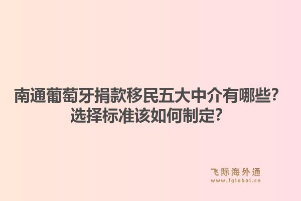 南通葡萄牙捐款移民五大中介有哪些？选择标准该如何制定？1.jpg