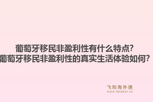葡萄牙移民非盈利性有什么特点？葡萄牙移民非盈利性的真实生活体验如何？1.jpg